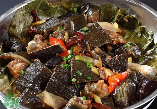 甲魚湯下奶嗎？下奶的食物有哪些？