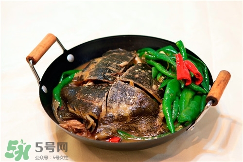 甲魚(yú)湯是涼性的嗎？甲魚(yú)湯的禁忌人群
