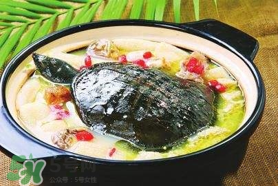 甲魚湯下奶嗎？下奶的食物有哪些？