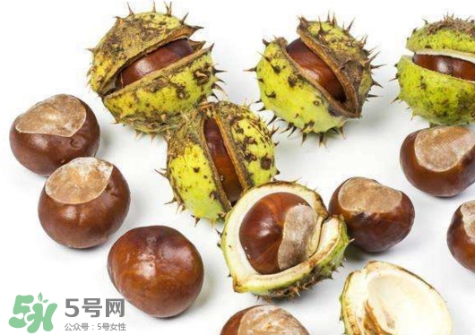 板栗殼怎么好剝？怎樣剝板栗殼最快