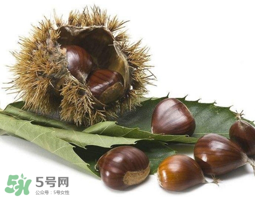 板栗殼里面的皮能吃嗎？板栗殼有什么作用