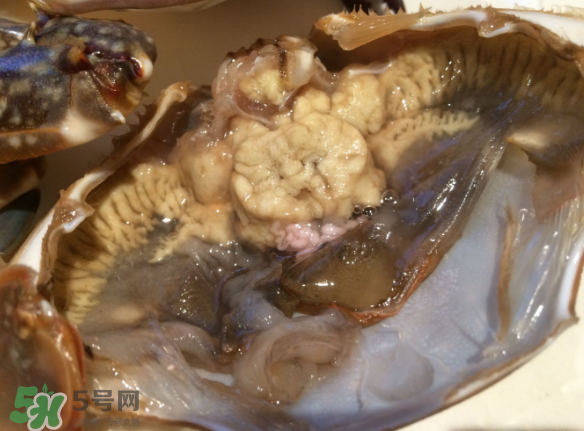 梭子蟹是野生的嗎？梭子蟹養(yǎng)的還是野生的？