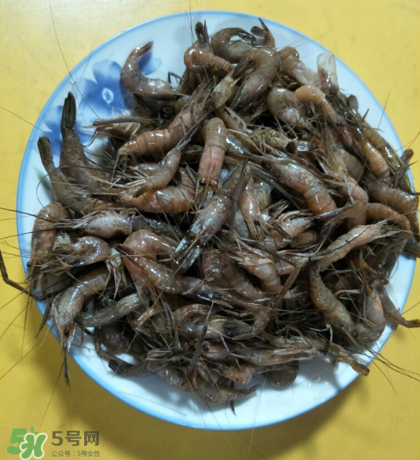 河蝦是發(fā)物嗎？河蝦是不是發(fā)物？