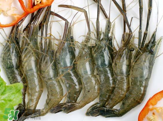 河蝦是海鮮嗎？河蝦屬于海鮮嗎？