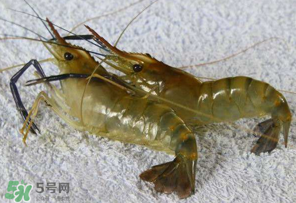 河蝦是酸性還是堿性？河蝦是涼性還是熱性？