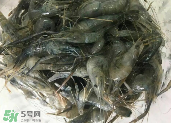 河蝦是基圍蝦嗎？河蝦是辛辣食物嗎？