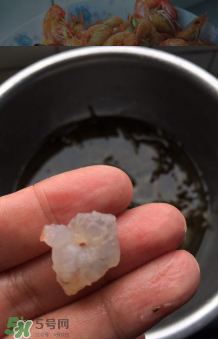 河蝦可以放冰箱嗎？河蝦在冰箱能放幾天？