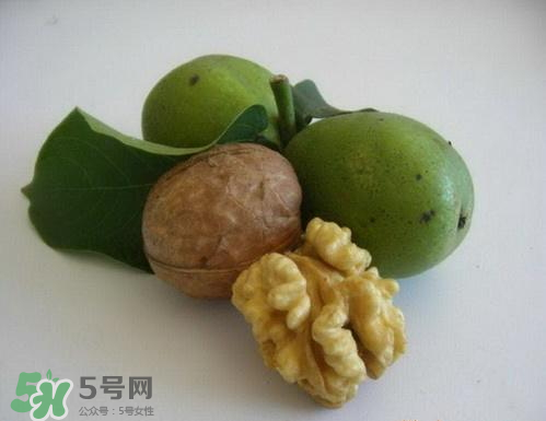 鮮核桃和干核桃哪個更有營養(yǎng)？鮮核桃和干核桃哪個營養(yǎng)價值高？