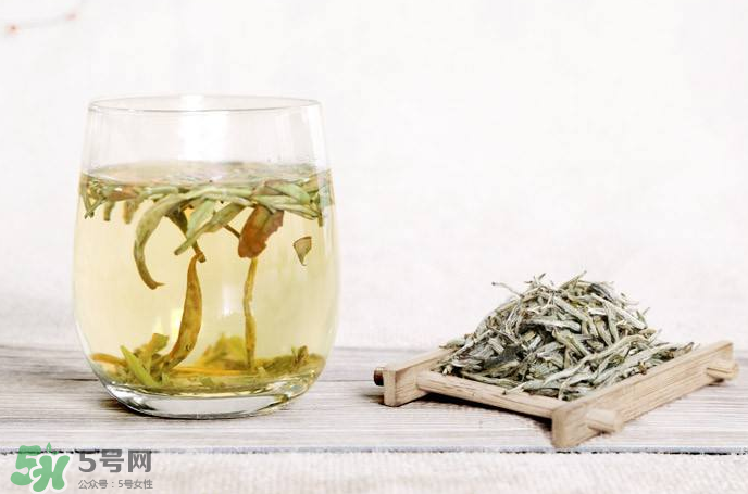 白毫銀針屬于綠茶嗎？白毫銀針是什么茶？