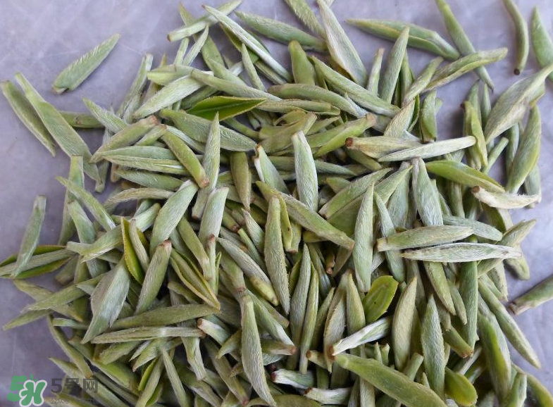 白毫銀針屬于綠茶嗎？白毫銀針是什么茶？