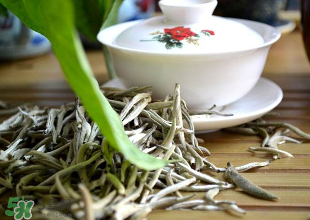 白茶需要洗茶嗎？白茶是洗還是不洗？