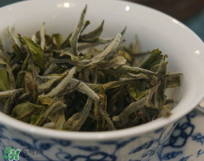 白茶需要洗茶嗎？白茶是洗還是不洗？
