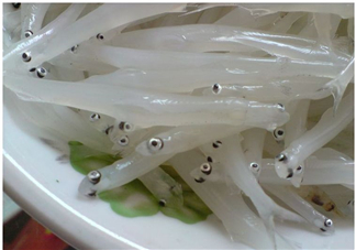 銀魚怎么保存？銀魚可以放在冰箱冷凍保存嗎？