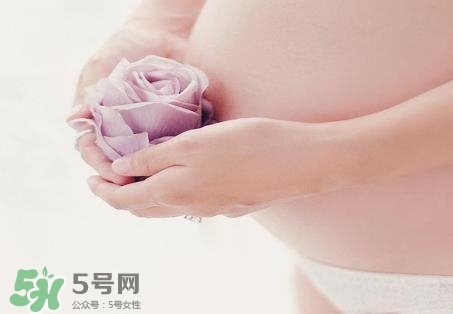 青刺果油能去妊娠紋嗎？青刺果油的功效與作用