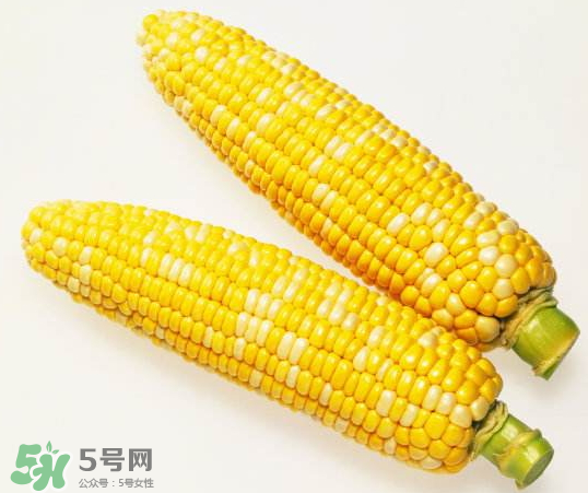 九月份能種玉米嗎？玉米九月份還可以種嗎？