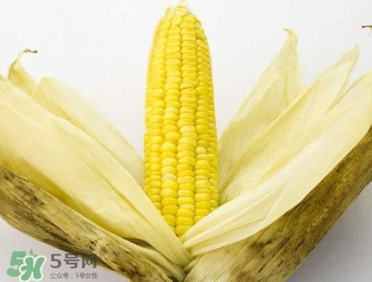 九月份能種玉米嗎？玉米九月份還可以種嗎？