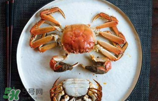 啤酒蒸大閘蟹好吃嗎？啤酒蒸大閘蟹怎么吃？