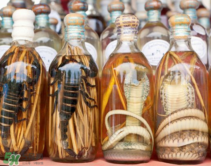 毒蛇泡酒有毒嗎？毒蛇泡酒能喝嗎？