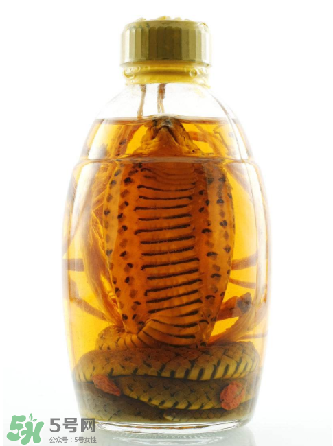 毒蛇泡酒有毒嗎？毒蛇泡酒能喝嗎？