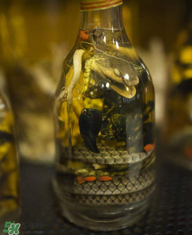 毒蛇泡酒有毒嗎？毒蛇泡酒能喝嗎？