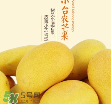 臺農芒果多少錢一斤？臺農芒果為什么叫臺農芒果