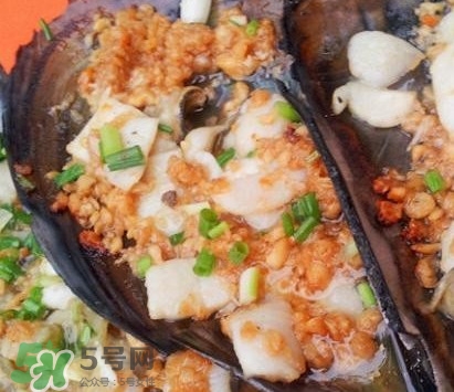 帶子是什么海鮮？帶子是什么東西