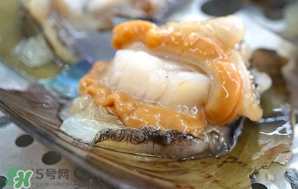 帶子哪里不能吃？帶子有什么營(yíng)養(yǎng)價(jià)值