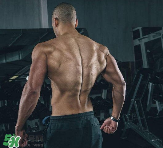 龍門架怎么練背？龍門架練背動作推薦