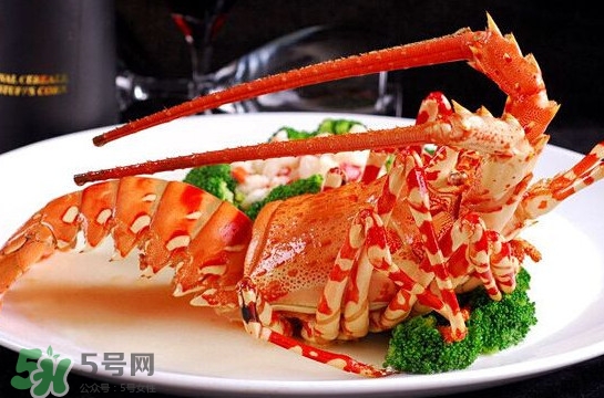 中華錦繡龍蝦可以養(yǎng)殖嗎？中華錦繡龍蝦有毒嗎
