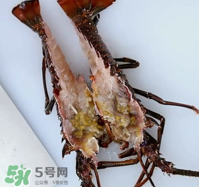 4斤的波士頓龍蝦多少錢？波士頓龍蝦怎么處理