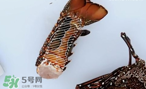 波士頓龍蝦產(chǎn)自波士頓嗎？波士頓龍蝦是哪里的