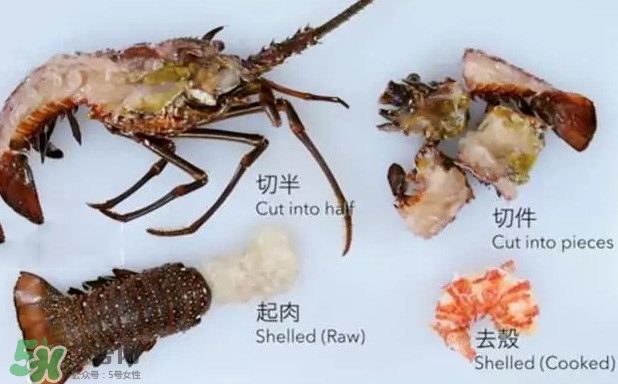 波士頓龍蝦有多大？波士頓龍蝦怎樣去殼