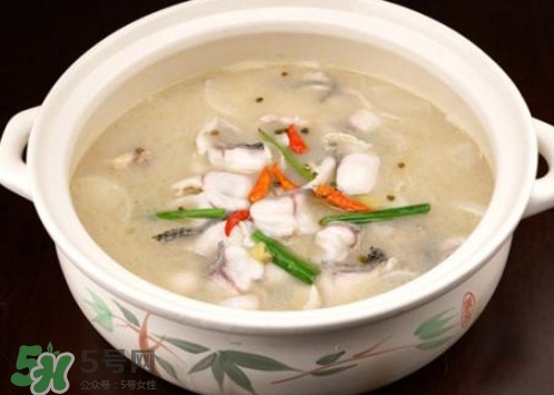 黑魚湯下奶嗎？黑魚湯是下奶還是回奶