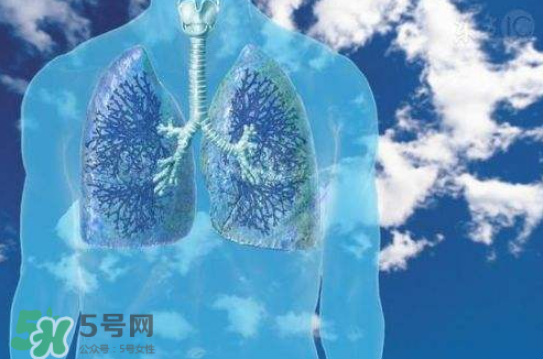 秋季如何護(hù)肺？秋季護(hù)肺小妙招