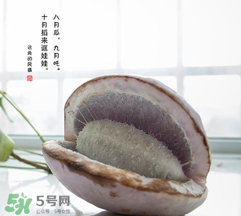 八月瓜可以泡酒嗎？八月瓜可以治乙肝嗎