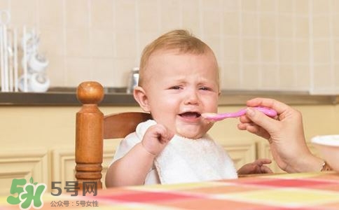 寶寶輔食可以吃哪些蔬菜？寶寶吃蔬菜泥的最佳時間