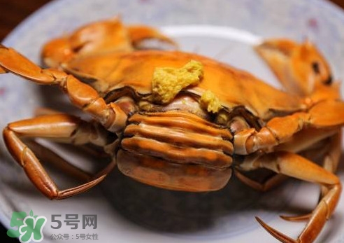 黃油蟹的選蟹標(biāo)準(zhǔn)是什么？黃油蟹的等級(jí)分類