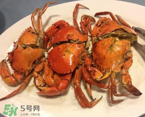 黃油蟹是海蟹嗎？黃油蟹是如何進化的