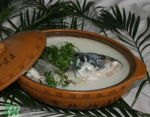 鰱魚(yú)頭湯孕婦可以吃嗎？鰱魚(yú)頭湯的功效與作用