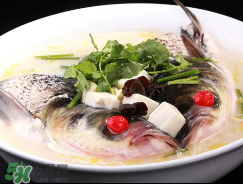 鰱魚(yú)頭湯孕婦可以吃嗎？鰱魚(yú)頭湯的功效與作用