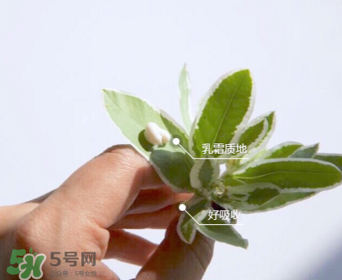城野醫(yī)生377有副作用嗎？城野醫(yī)生377用了臉癢是什么原因？