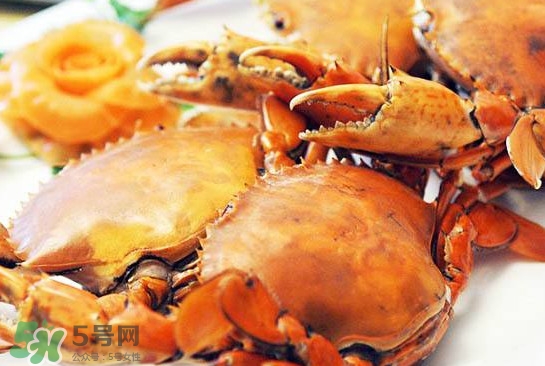 黃油蟹是什么蟹？黃油蟹多少錢一只
