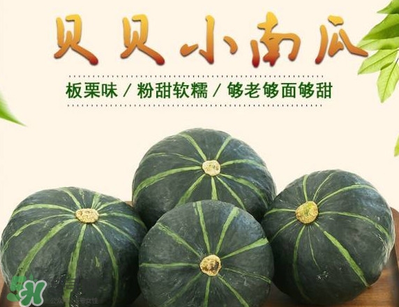 貝貝南瓜蒸多久能吃？貝貝南瓜和普通南瓜有什么區(qū)別