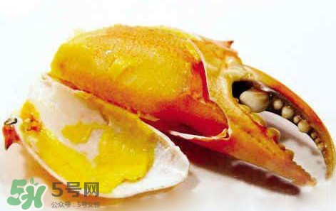 黃油蟹怎么保存？黃油蟹的營養(yǎng)價值