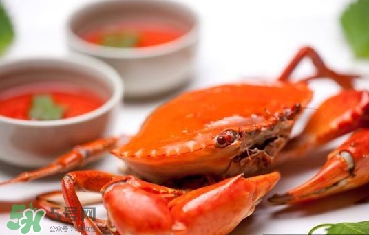 黃油蟹是海蟹嗎？黃油蟹是如何進化的