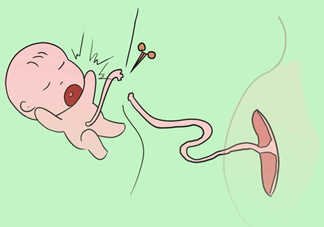 寶寶臍帶什么時(shí)候脫落？寶寶臍帶脫落后怎么護(hù)理？