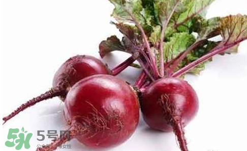 甜菜根是蘿卜嗎？甜菜根是什么菜
