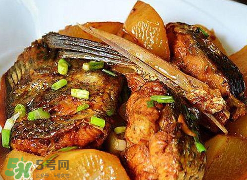 鱸魚可以紅燒嗎？鱸魚清蒸還是紅燒好吃？