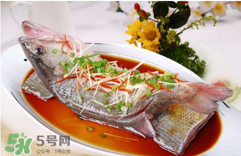 鱸魚為什么沒有刺？鱸魚為什么刺少？