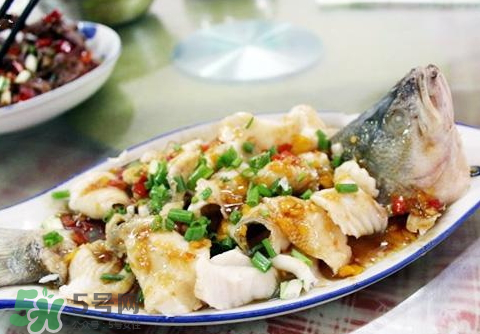 鱸魚為什么沒有刺？鱸魚為什么刺少？